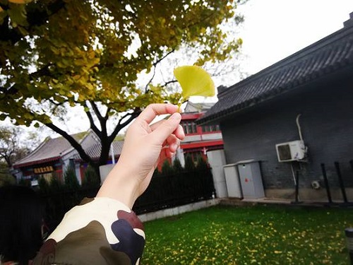 糖果派对试玩