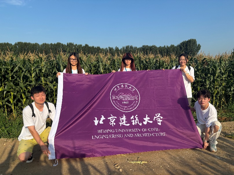 糖果派对试玩