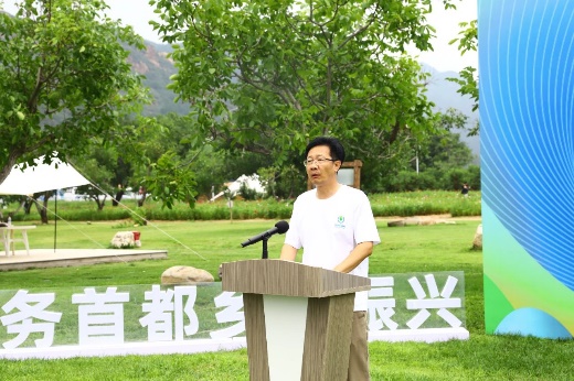 糖果派对试玩
